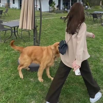 心灵投手